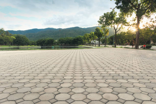 Best Professional Driveway Pavers  in North Auburn, CA
