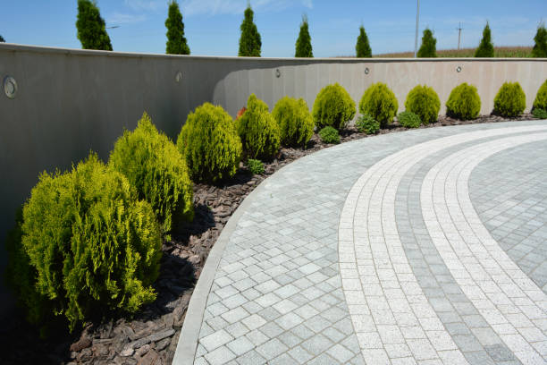 Best Driveway Repair Near Me  in North Auburn, CA